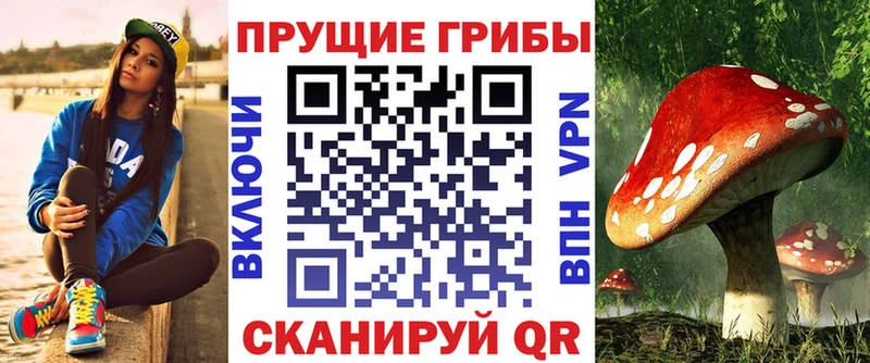 Купить где  Анжеро-Судженск  Галлюциногенные грибы Psilocybe 